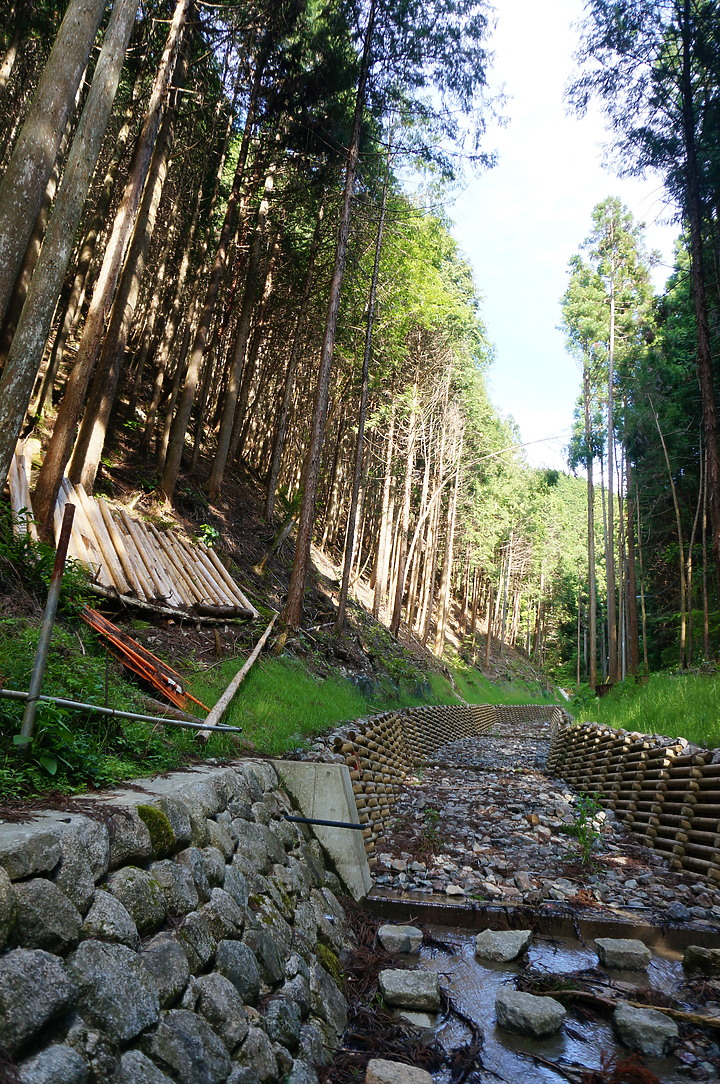 大阪最高山- 金剛山ハイキングきっぷ|