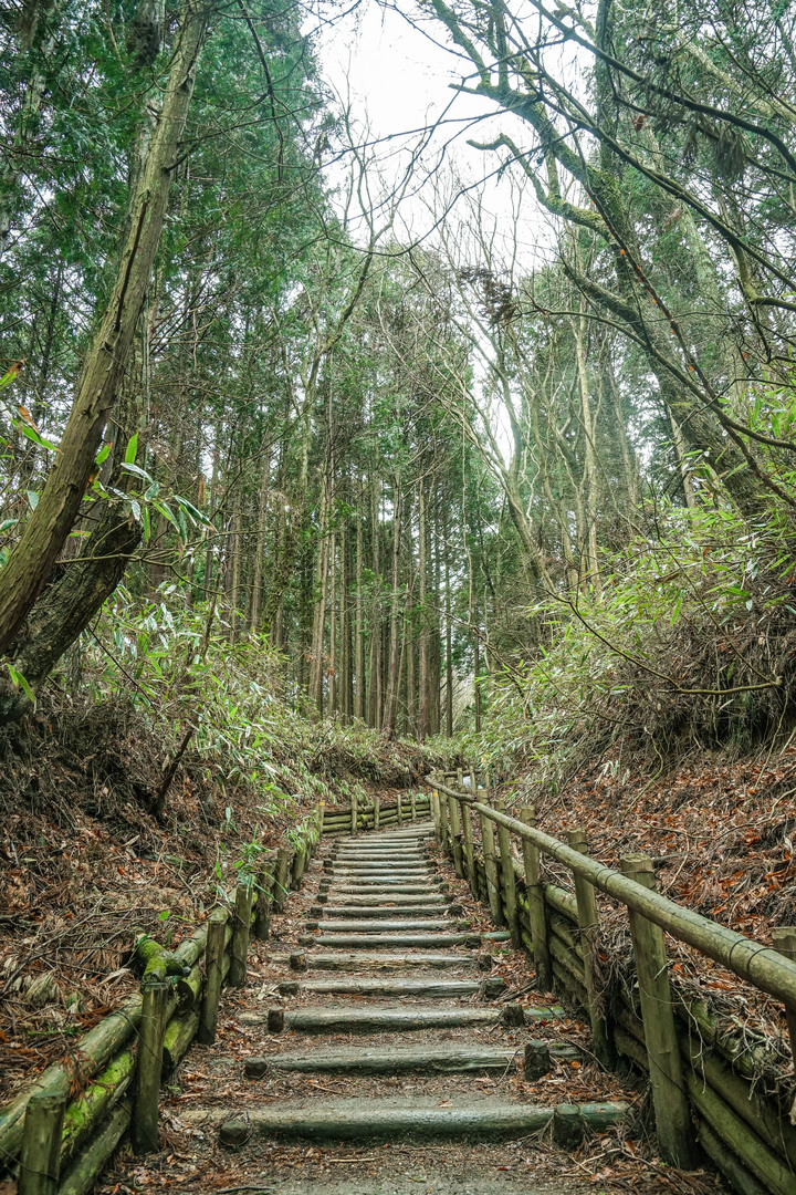 冬季漫步大阪最高山-金剛山葛木神社攻頂遊記