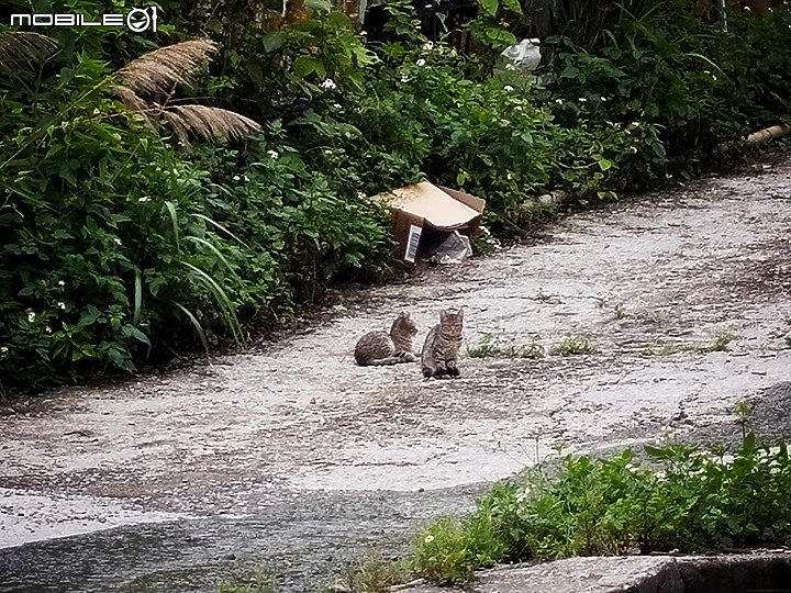 純粹分享 / 全新六期Hyundai Porter Pro / 現代小霸王自排附加油壓升降尾門 / 影像記錄 (純影像)