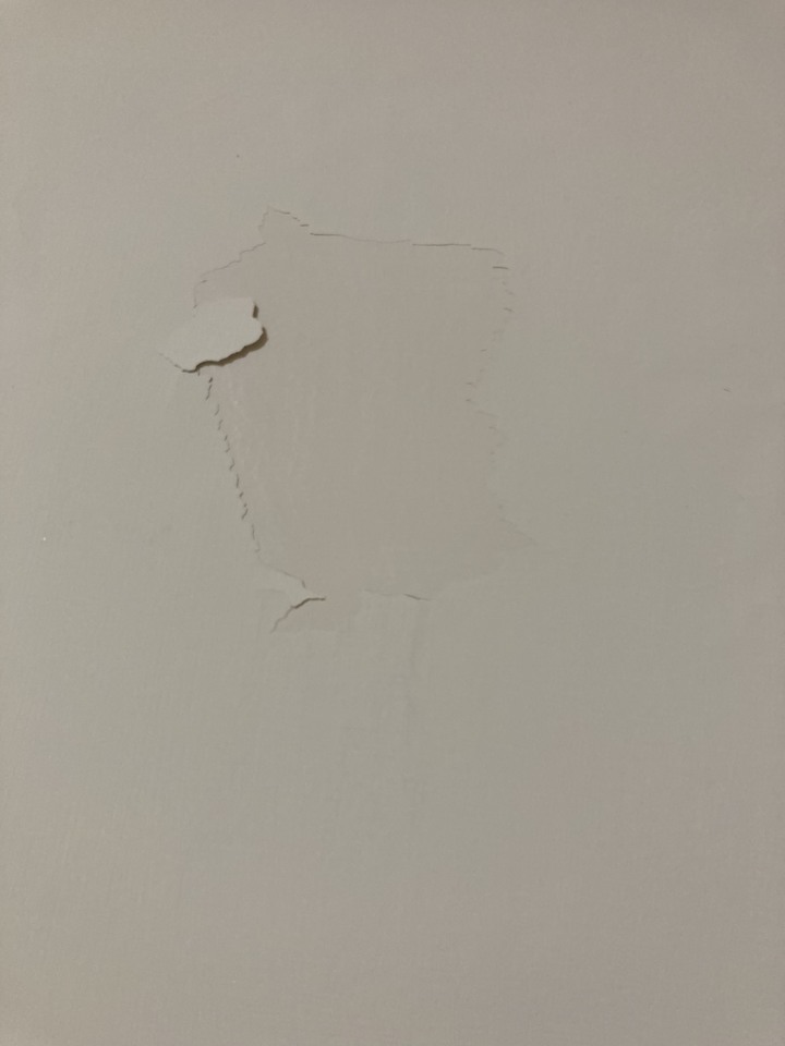 您好，想請問關於油漆的問題