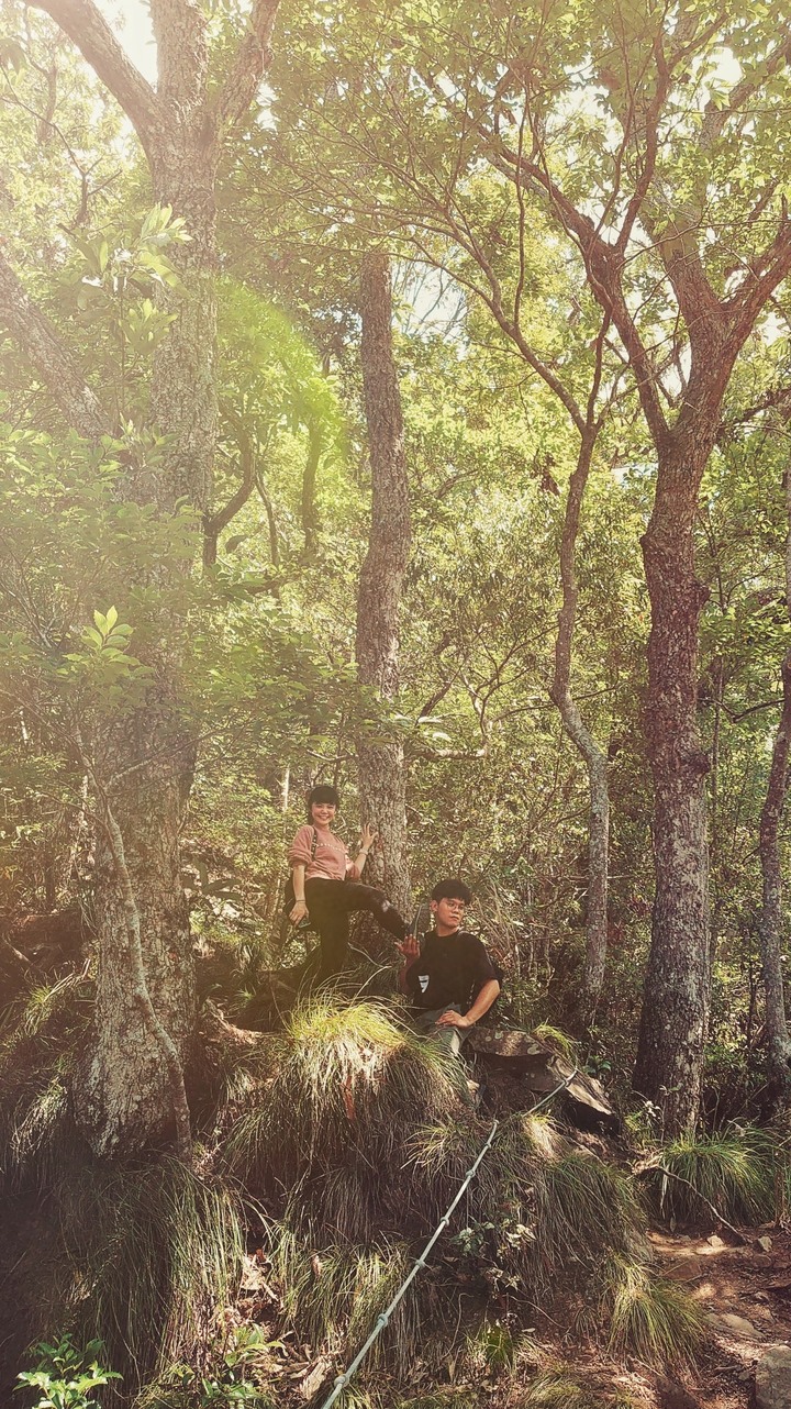 初心者的中級大霸尖山苗栗虎山
