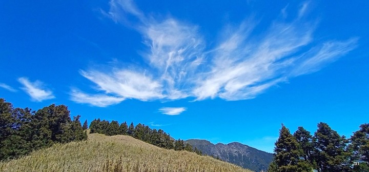 台中和平|志佳陽大山.百岳單攻聖品,陡上1700公尺享受群山環繞美景