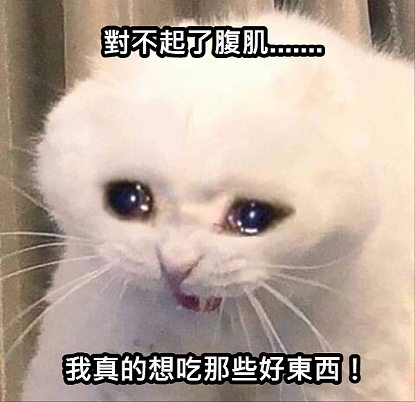 【外星貓遊地球】伊朗,一個神祕古老、又迷人的國度(第二章)