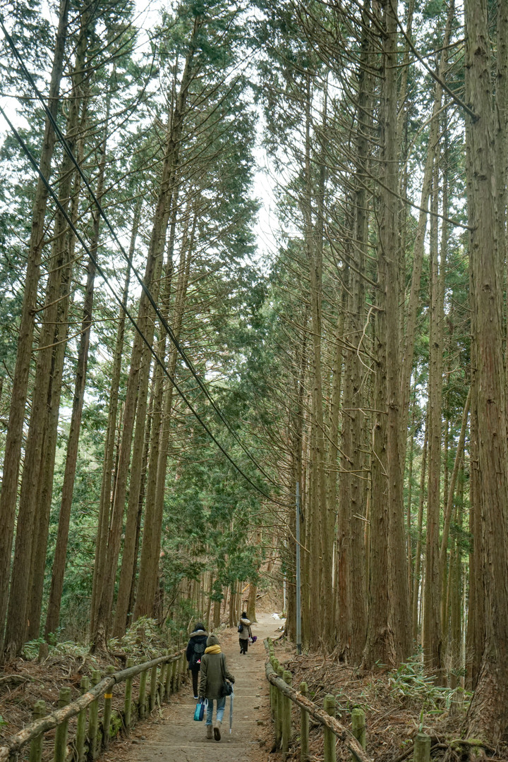 冬季漫步大阪最高山-金剛山葛木神社攻頂遊記