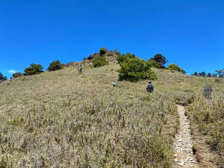 台中和平|志佳陽大山.百岳單攻聖品,陡上1700公尺享受群山環繞美景