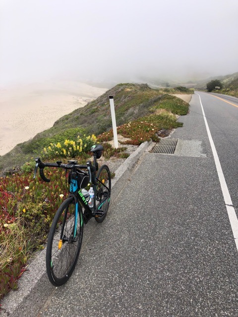 (2021夏) 🚴🇺🇸 北加漂亮濱海太平洋公路 一日騎遊 :