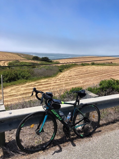 (2021夏) 🚴🇺🇸 北加漂亮濱海太平洋公路 一日騎遊 :