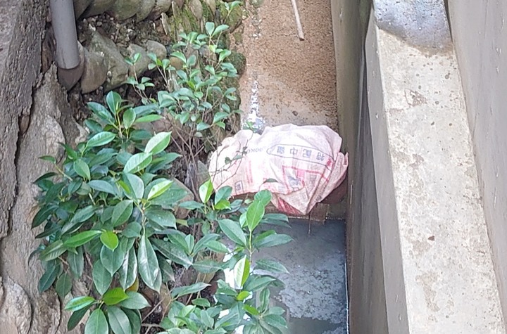 後面排水溝
