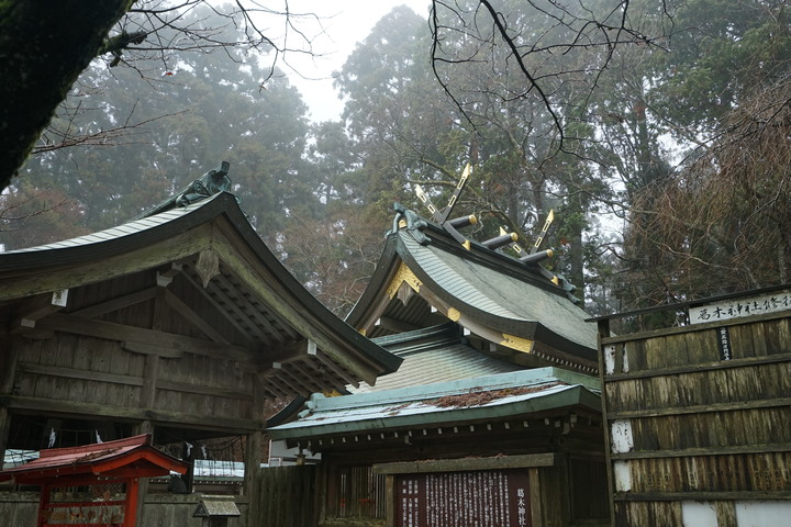 冬季漫步大阪最高山-金剛山葛木神社攻頂遊記