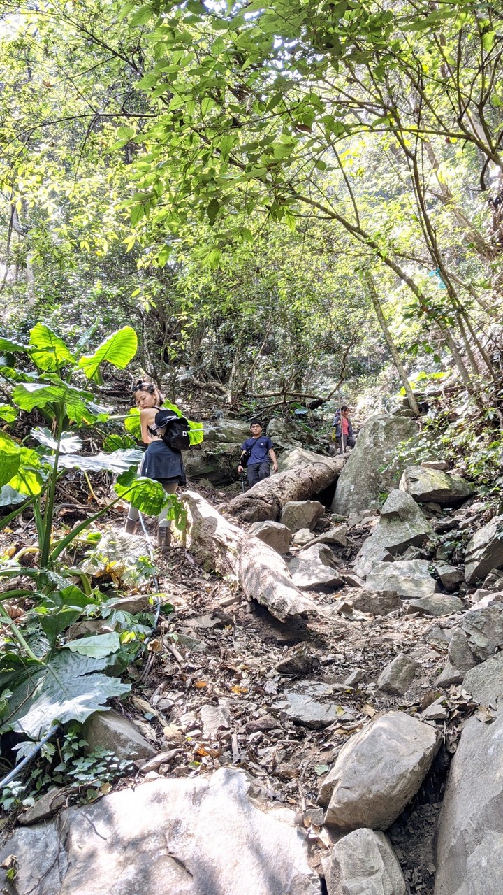 初心者的中級大霸尖山苗栗虎山