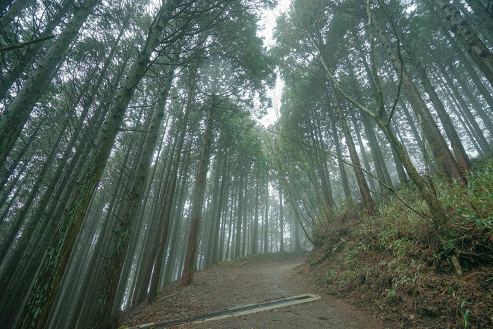 冬季漫步大阪最高山-金剛山葛木神社攻頂遊記
