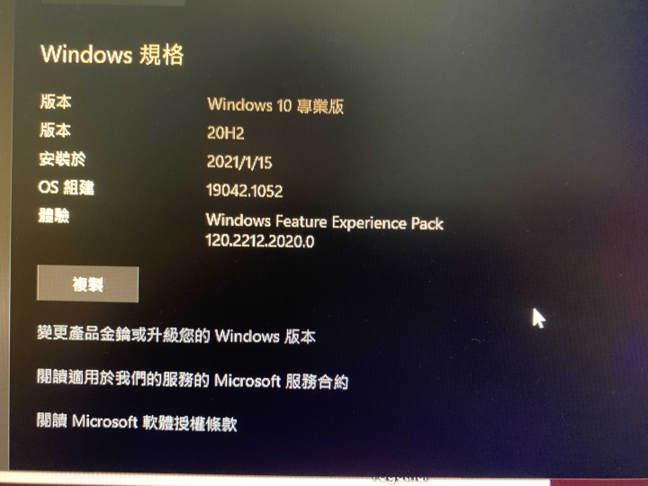 F1 2020遊戲崩潰