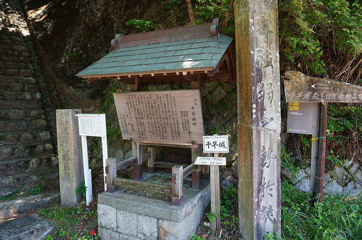 大阪最高山- 金剛山ハイキングきっぷ|
