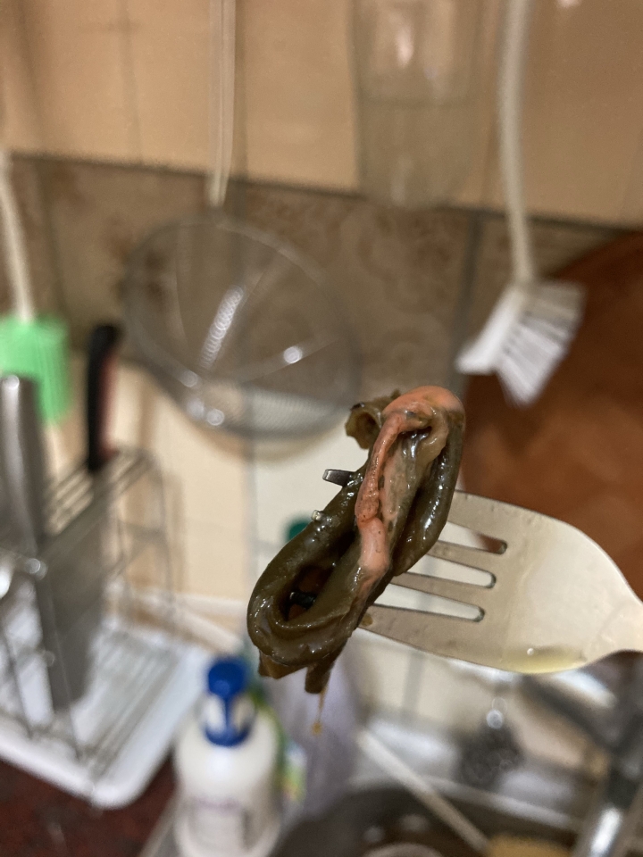 請問剝皮辣椒這樣是壞掉了嗎？