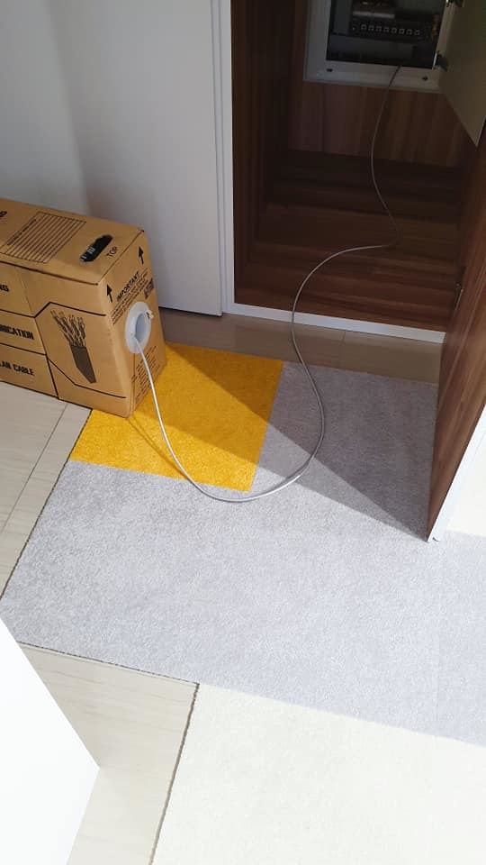 【詹K開箱】,低預算小資裝潢,打造兩人三毛孩居住小宅,裝潢過程記錄分享。