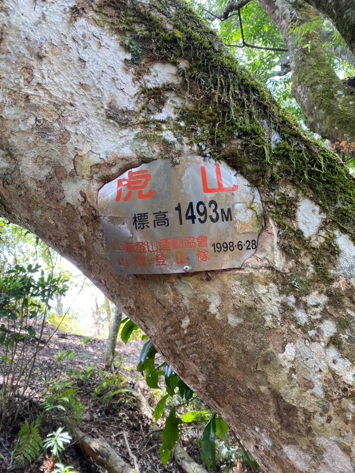初心者的中級大霸尖山苗栗虎山
