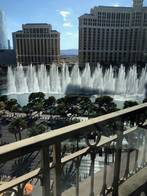 (2021夏) 🚴🇺🇸 漫騎迷人拉斯維加斯大道