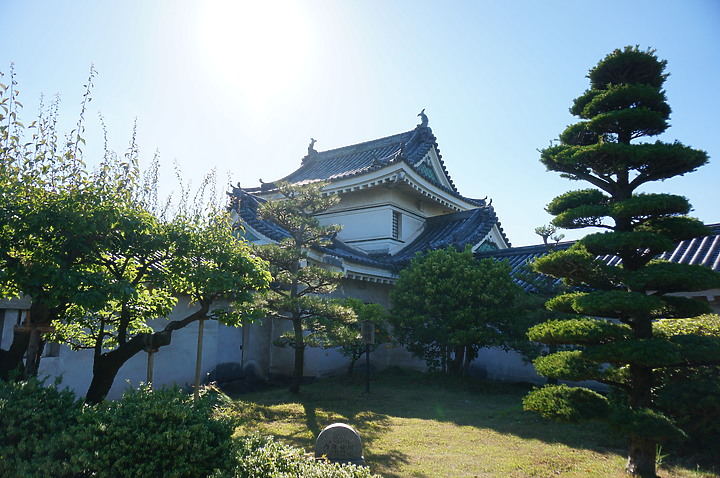 大阪最高山- 金剛山ハイキングきっぷ｜