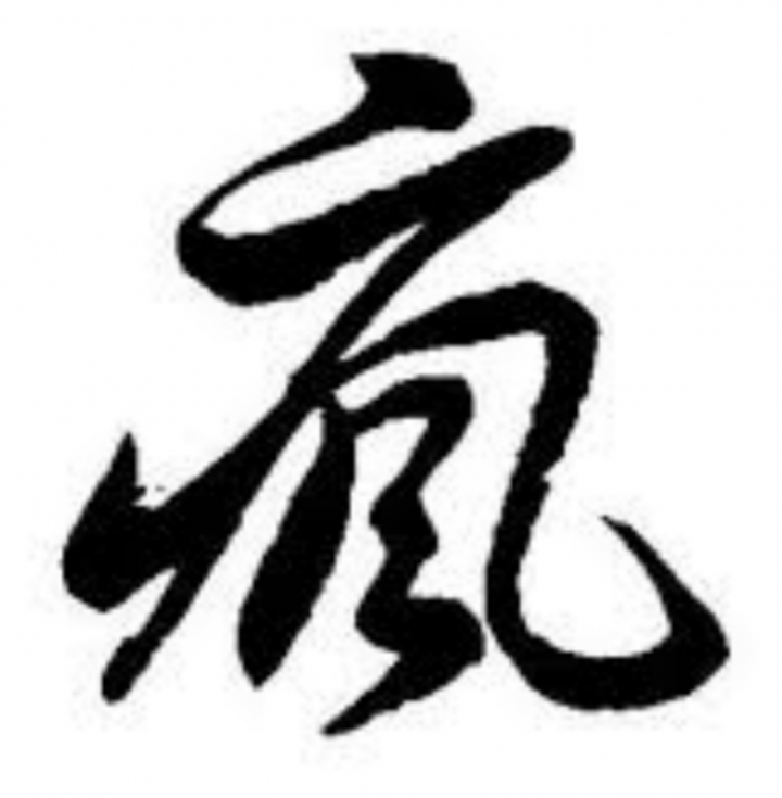 似瘋女人的股票