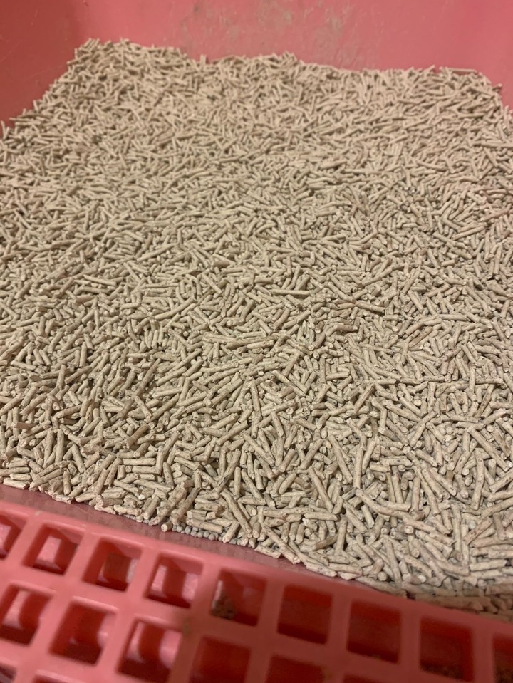 搞定家裡貓主子不上廁所的毛病!(含花生貓砂心得)