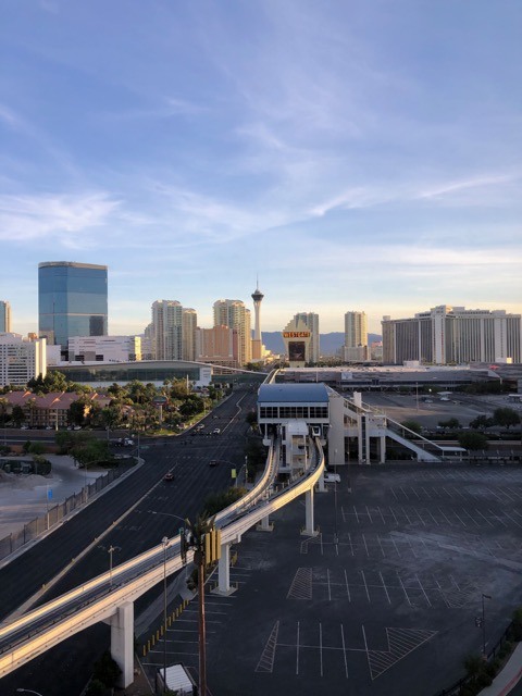 (2021夏) 🚴🇺🇸 漫騎迷人拉斯維加斯大道