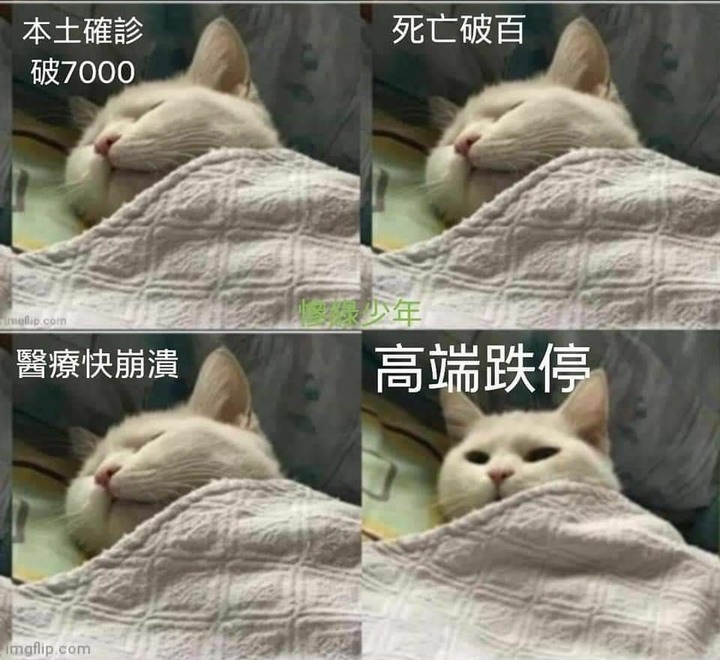 ▼▼▼民進黨鎮黨神功▼▼▼
