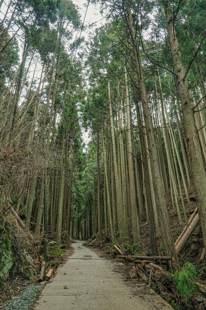 冬季漫步大阪最高山-金剛山葛木神社攻頂遊記