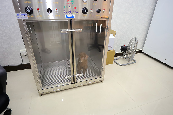 點我看大圖 UM325U陪著毛小孩自助歡樂洗