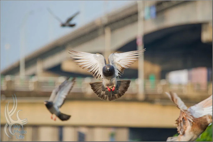實測．PENTAX K-3 III 新世代全面進化旗艦機