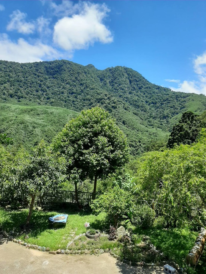 將失傳的宮廷私房菜「炙檸檬煲鴨」,秘境美食