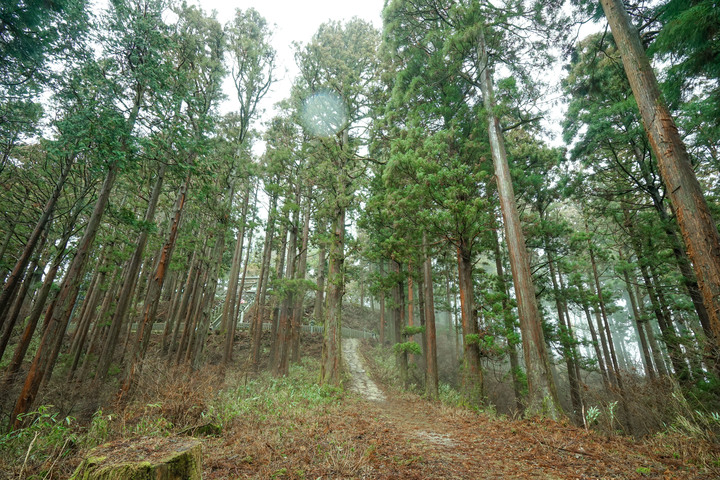 冬季漫步大阪最高山-金剛山葛木神社攻頂遊記