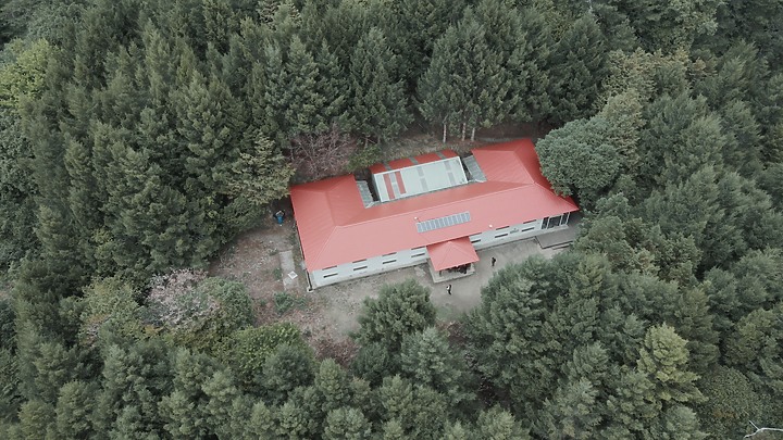【雪山主峰】台灣第二高峰的美照分享(雲海大景)