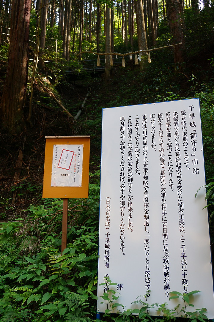 大阪最高山- 金剛山ハイキングきっぷ|