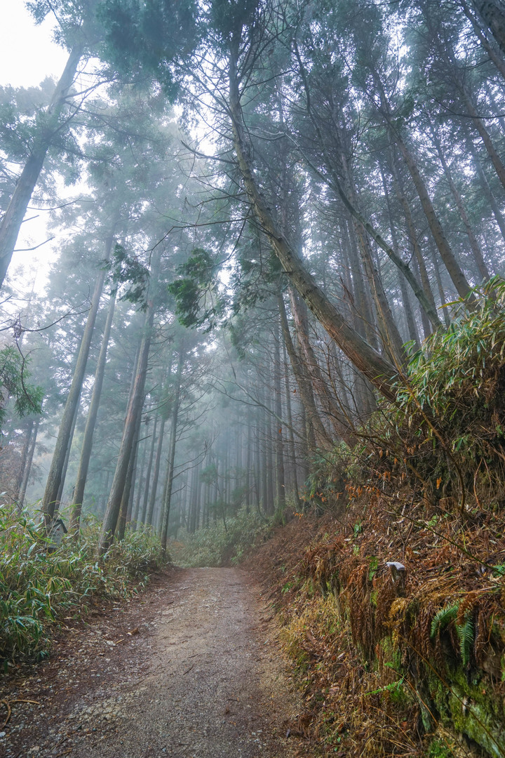 冬季漫步大阪最高山-金剛山葛木神社攻頂遊記