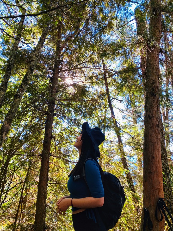 台中和平|志佳陽大山.百岳單攻聖品,陡上1700公尺享受群山環繞美景