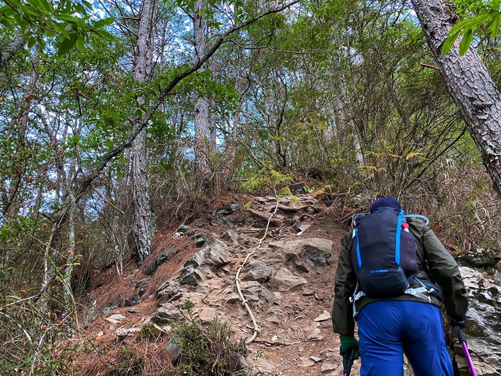 台中和平|志佳陽大山.百岳單攻聖品,陡上1700公尺享受群山環繞美景