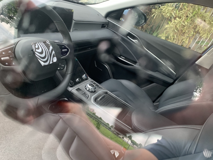 抓到偽裝車