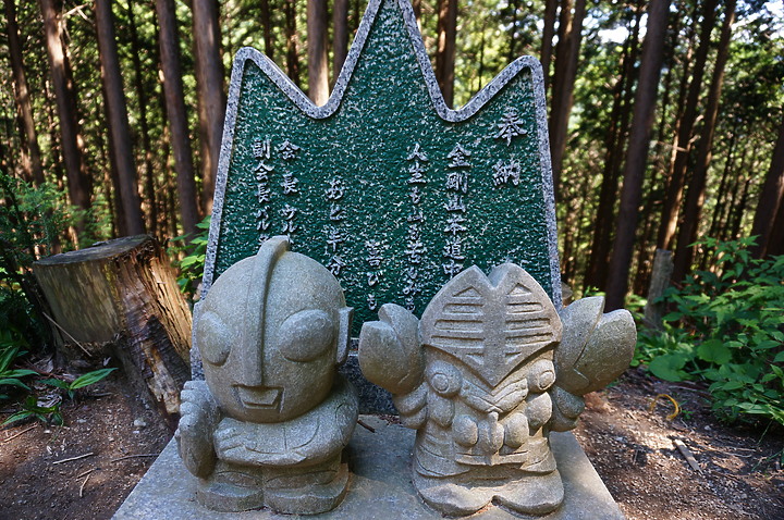 大阪最高山- 金剛山ハイキングきっぷ|