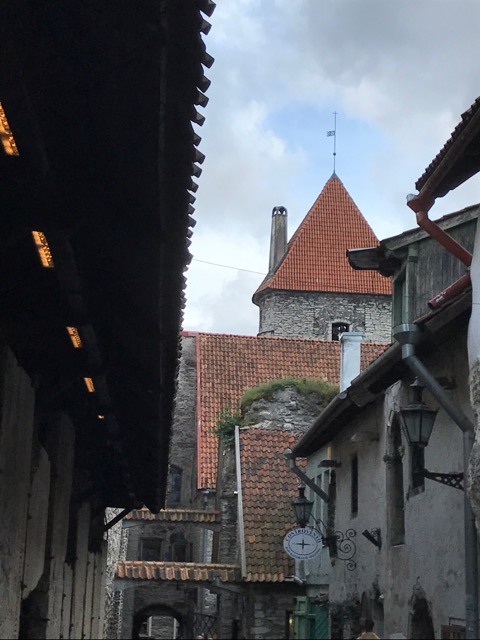 🚢🛳 (2017 Summer) Baltic 9 Days - Norwegian Getaway 🚢🛳