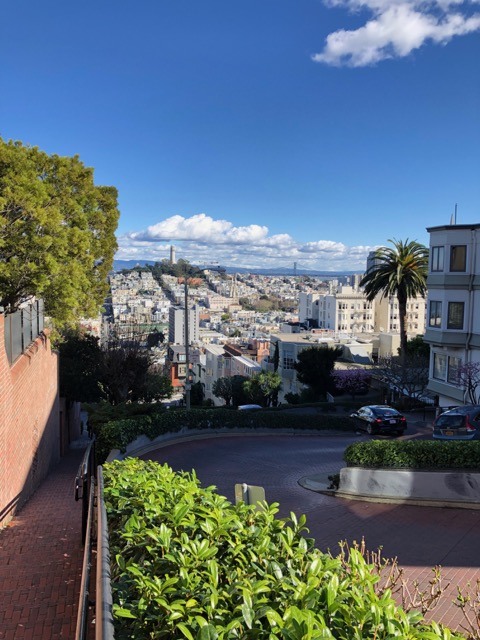 🚝🚝(2019 Winter) San Francisco 🚝