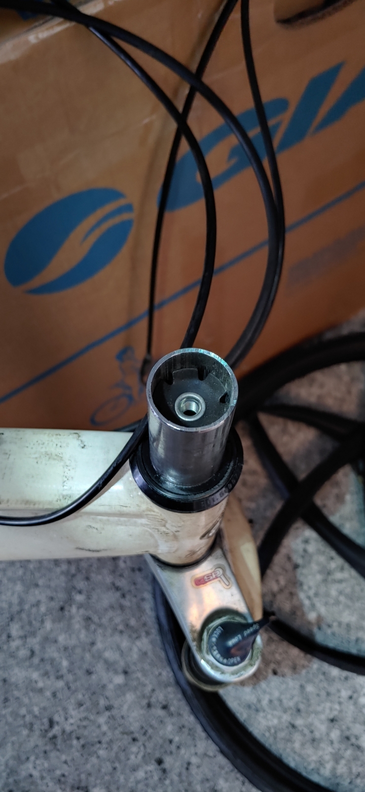 求救，登山車拆前叉卡關