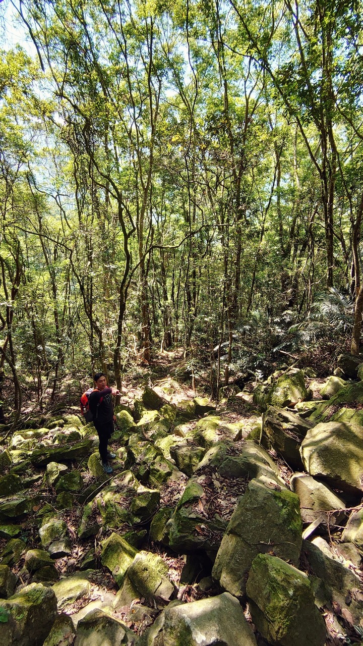初心者的中級大霸尖山苗栗虎山