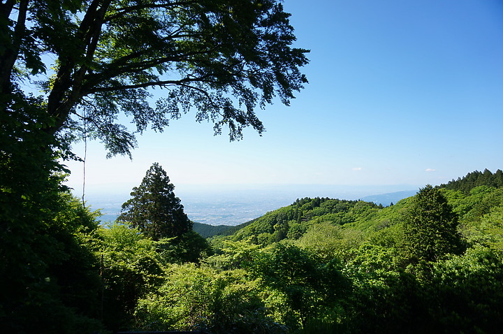 大阪最高山- 金剛山ハイキングきっぷ|