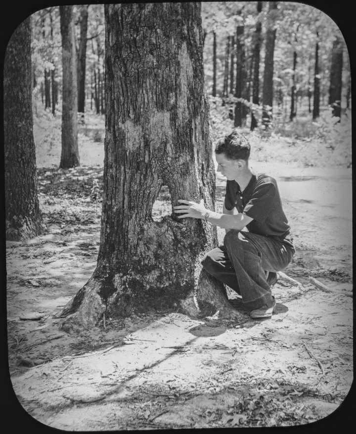 找到的照片 - John Voss 博士的玻璃片系列(1895 – 1948).[轉貼]