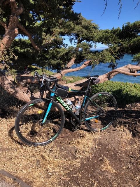 (2021夏) 🚴🇺🇸 北加漂亮濱海太平洋公路 一日騎遊 :