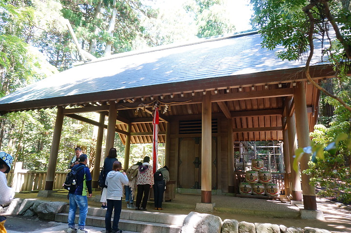 大阪最高山- 金剛山ハイキングきっぷ|