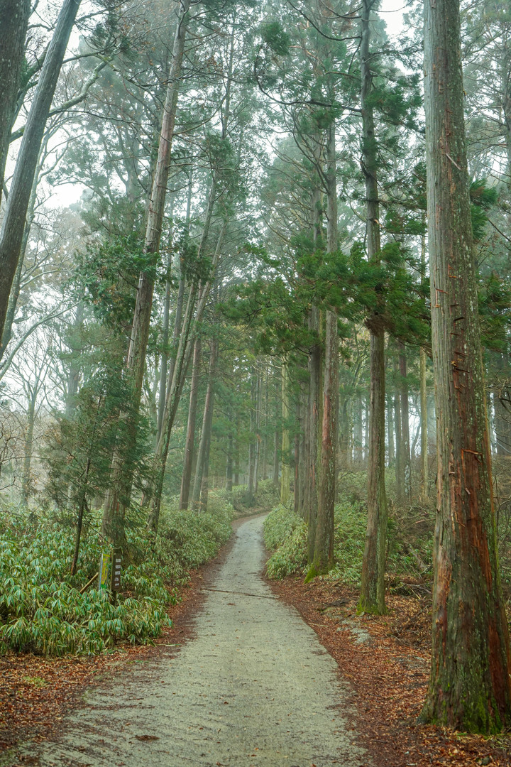 冬季漫步大阪最高山-金剛山葛木神社攻頂遊記