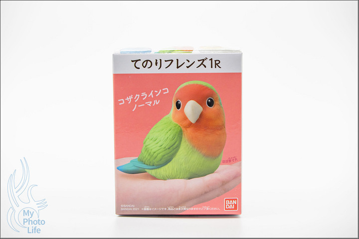 BANDAI萬代.小鳥盒玩特別彈.中盒12入 .開箱