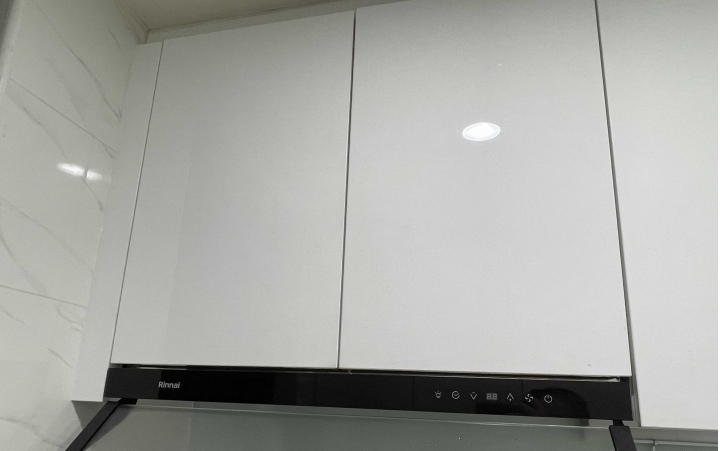 林內抽油煙機更換