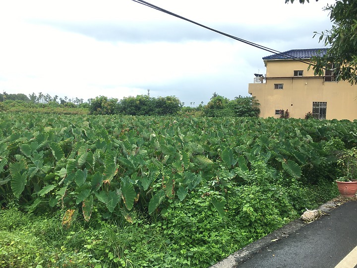 騎遊屏東三地門-安坡觀光自行車道